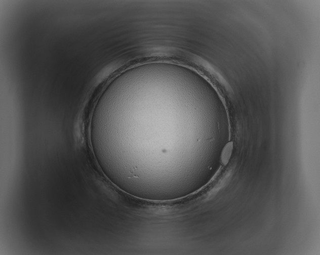 X0000103170970200808291507