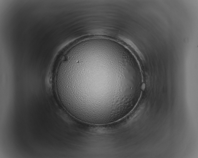 X0000103170971200808291507