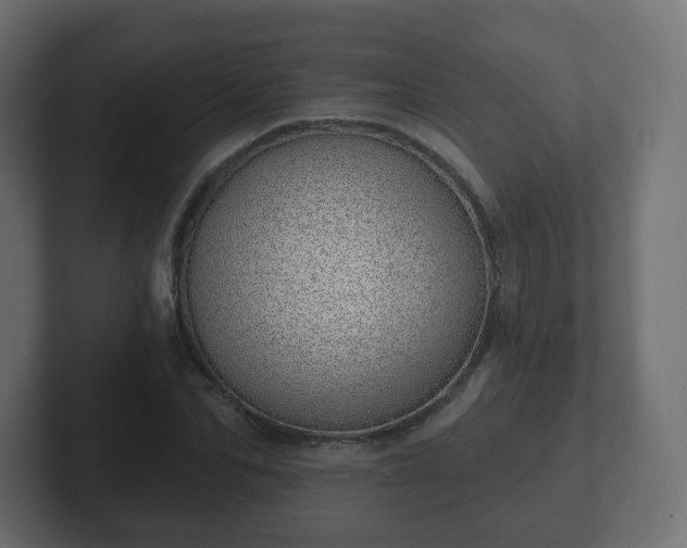 X0000103170974200808291507