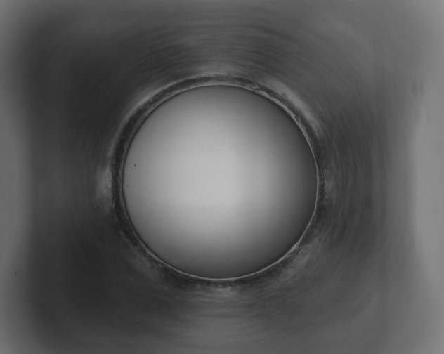 X0000103170975200808291507