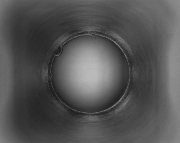 X0000103170977200808291507