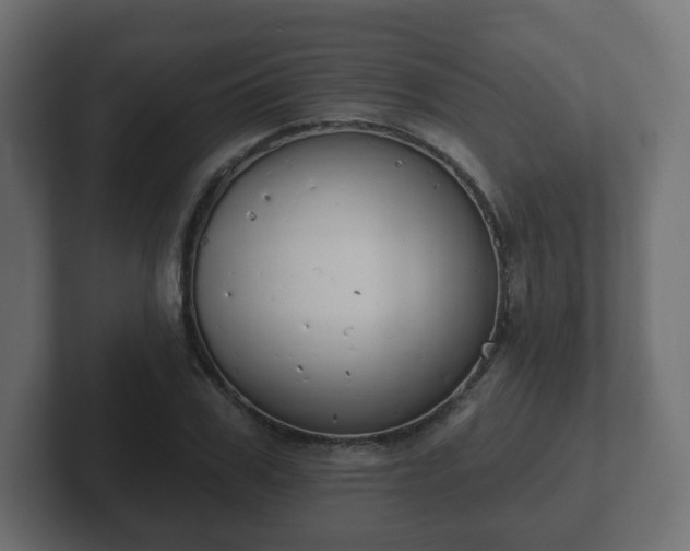 X0000103170979200808291507