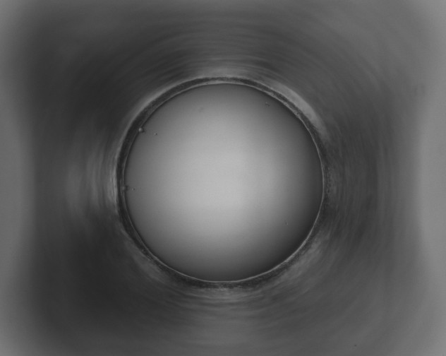 X0000103170980200808291507