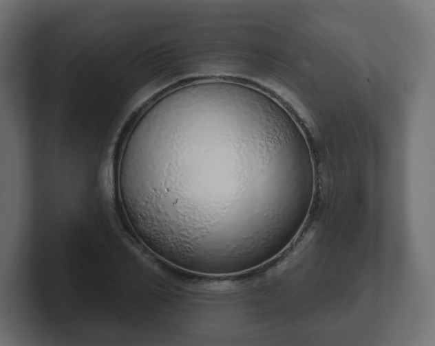 X0000103170982200808291507