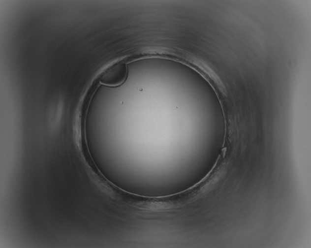 X0000103170984200808291507