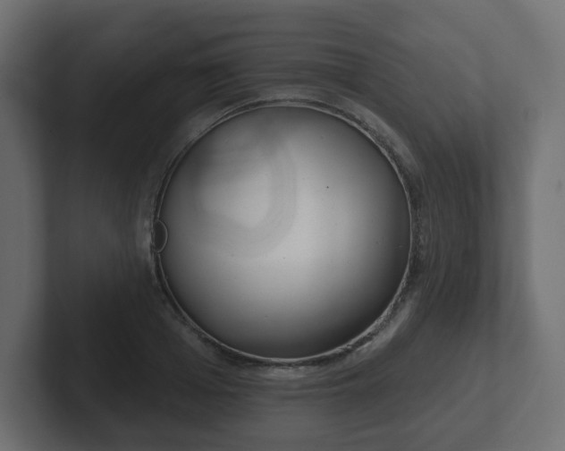 X0000103170985200808291507