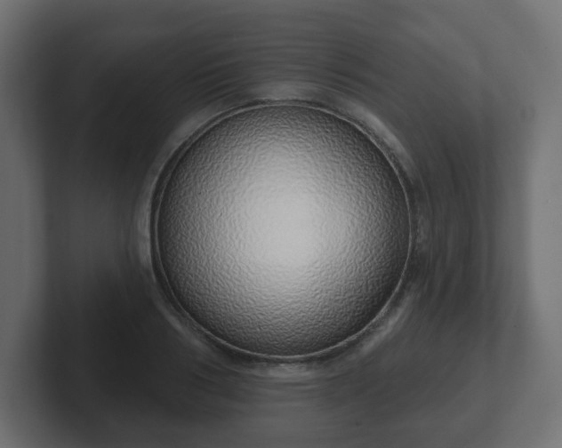 X0000103170986200808291507