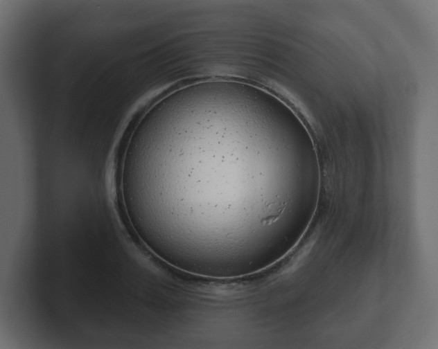 X0000103170987200808291507