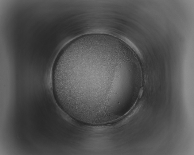 X0000103170988200808291507