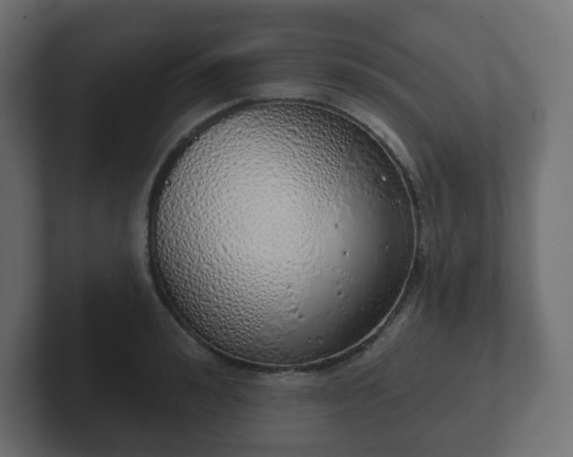 X0000103170992200808291506