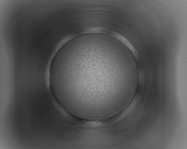 X0000103170994200808291506