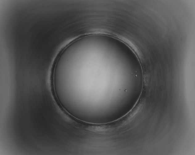 X0000103170995200808291506