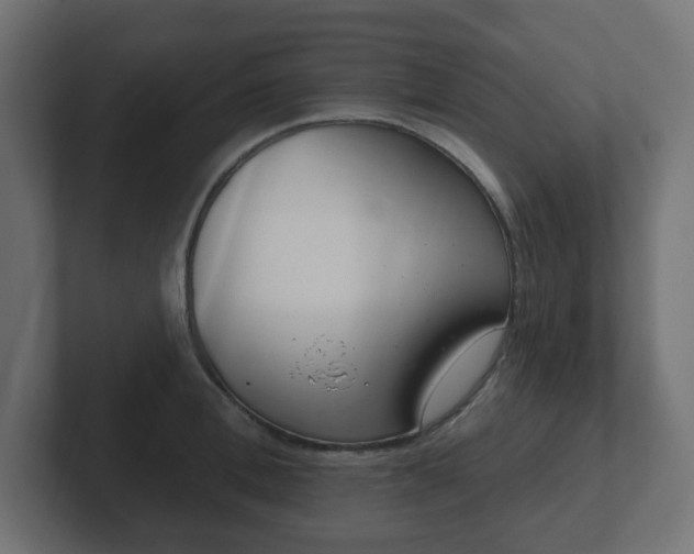 X0000103170996200808291506