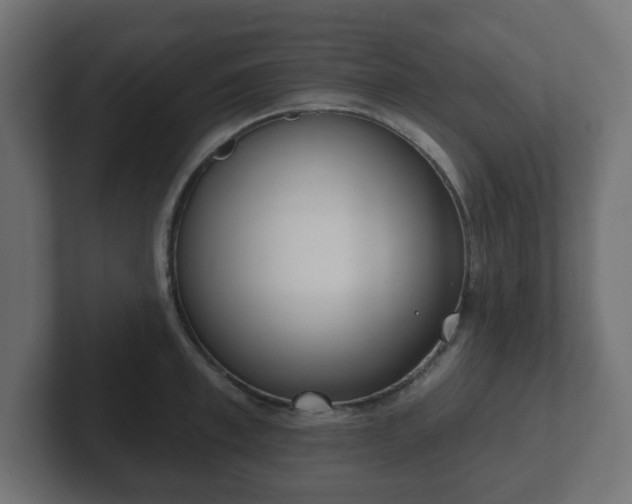 X0000103170997200808291506