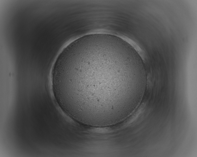 X0000103170998200808291506