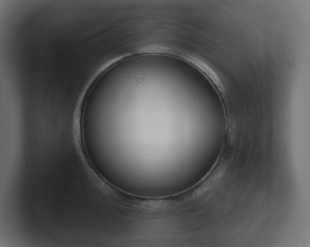 X0000103171000200808291506