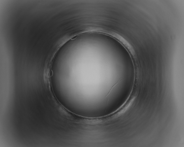 X0000103171001200808291506