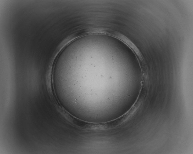 X0000103171002200808291506