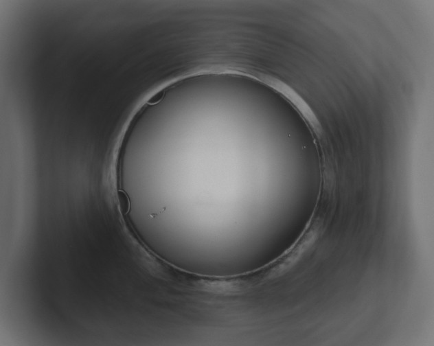 X0000103171004200808291506