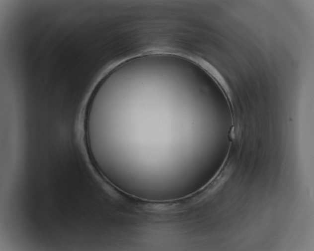 X0000103171005200808291506