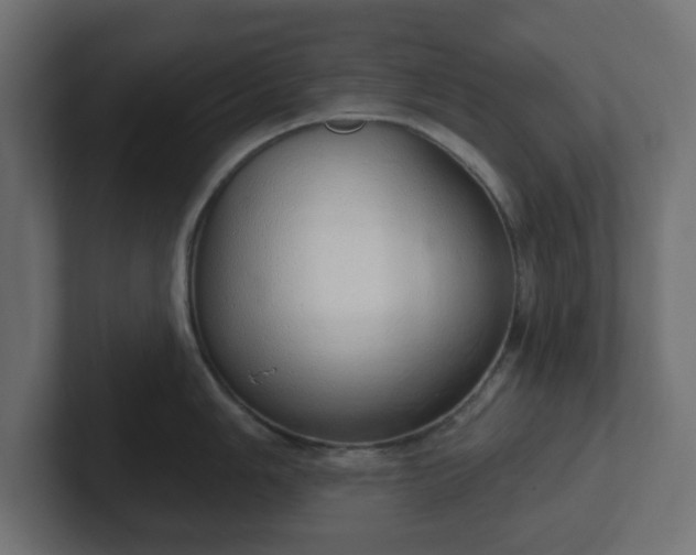 X0000103171006200808291506