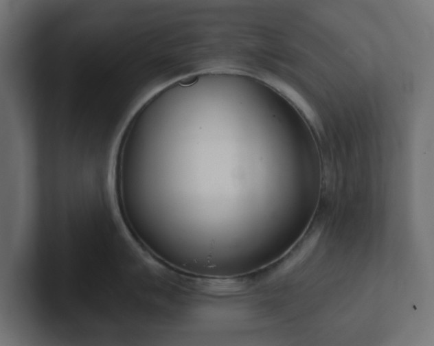 X0000103171007200808291506