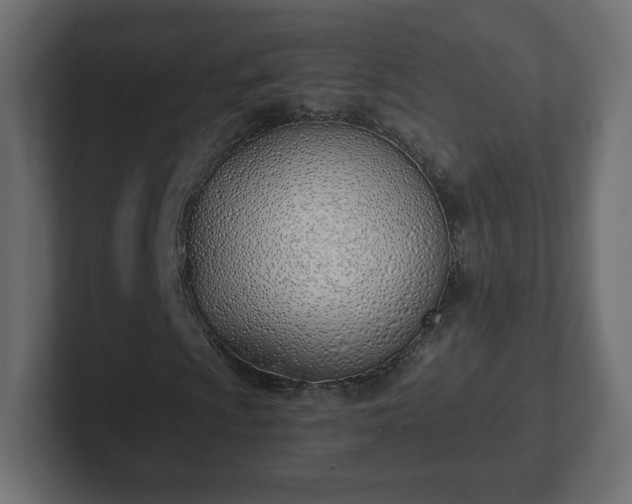 X0000103171009200808291506