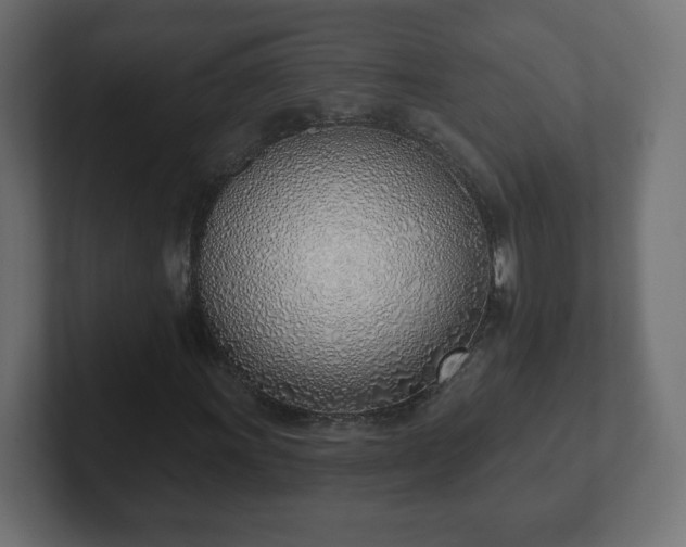 X0000103171011200808291506