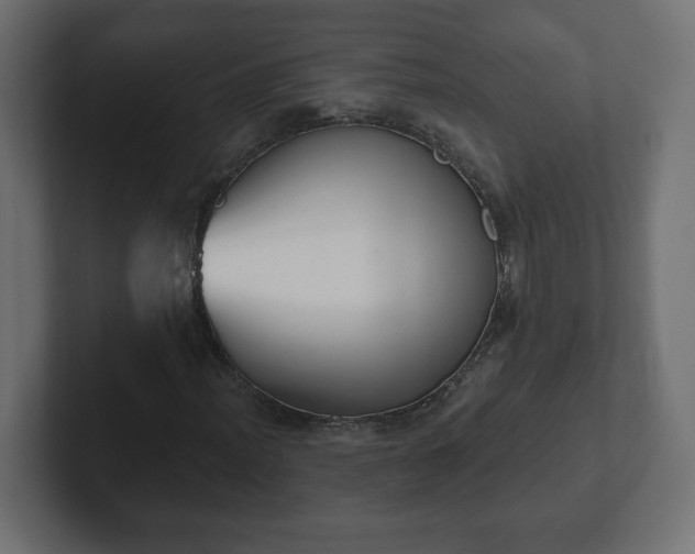 X0000103171012200808291506