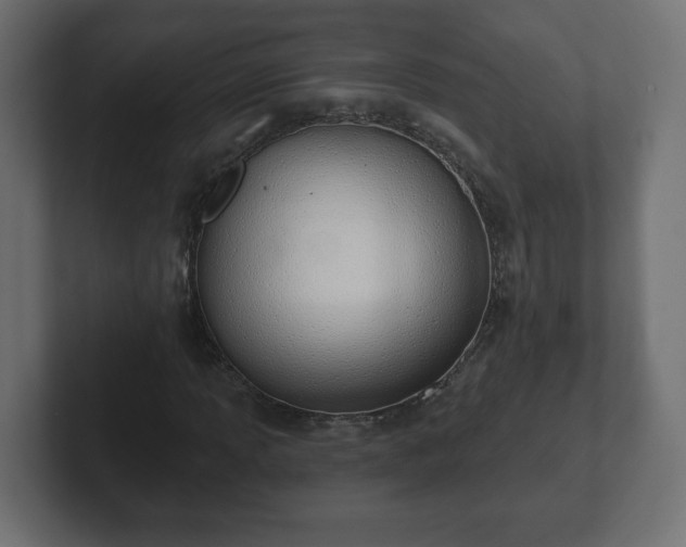 X0000103171013200808291506