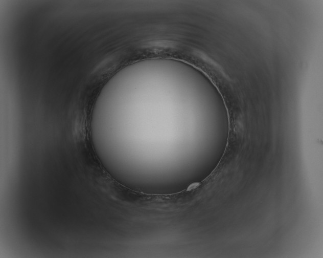 X0000103171014200808291506