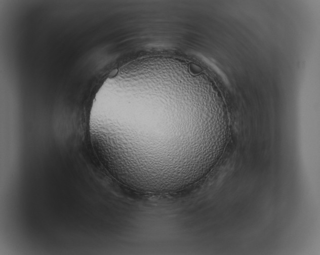 X0000103171015200808291506