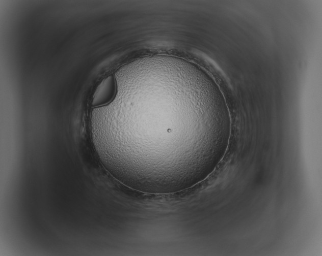 X0000103171016200808291506