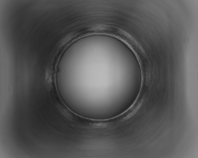 X0000103171017200808291506