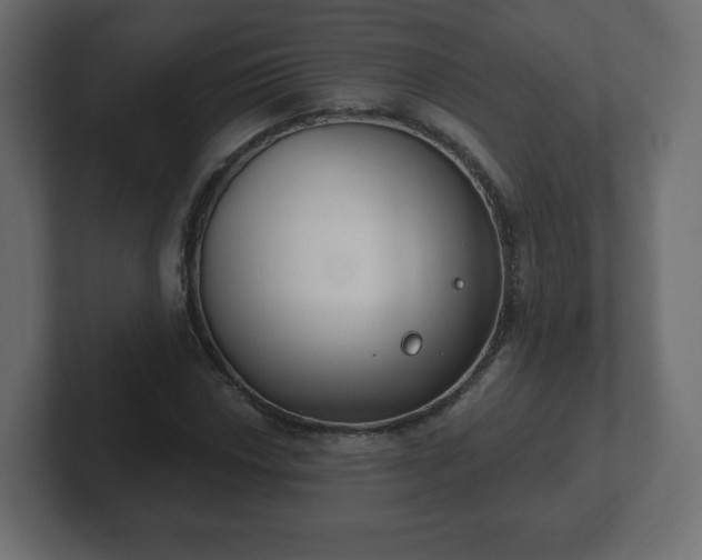 X0000103171018200808291506