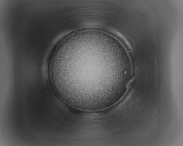 X0000103171019200808291506