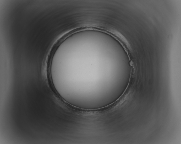 X0000103171020200808291506