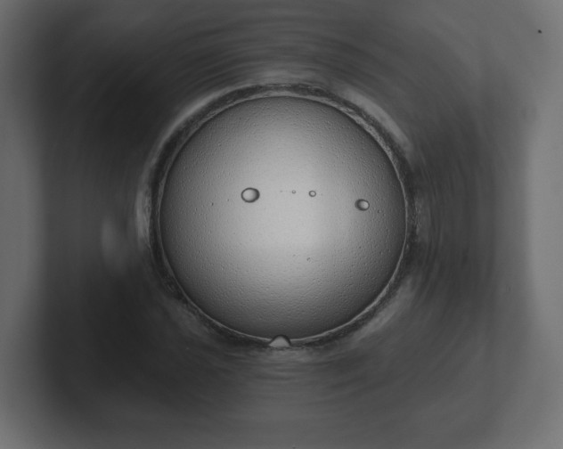 X0000103171021200808291506