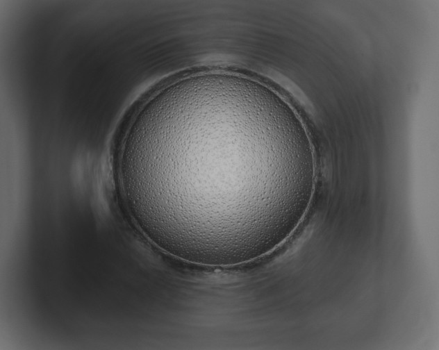 X0000103171022200808291506