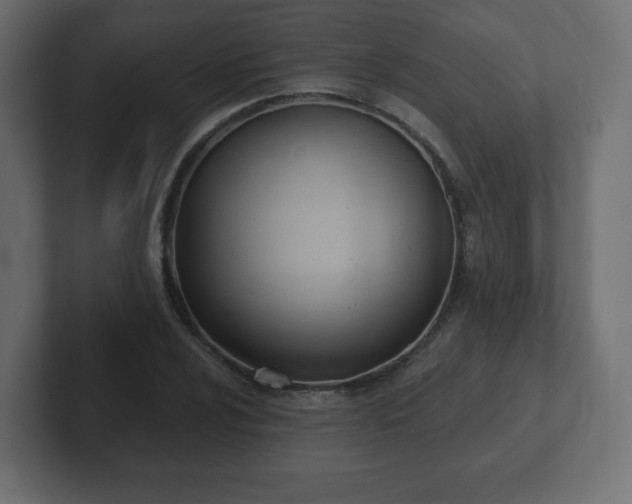 X0000103171024200808291506