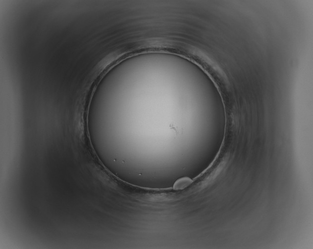 X0000103171025200808291506