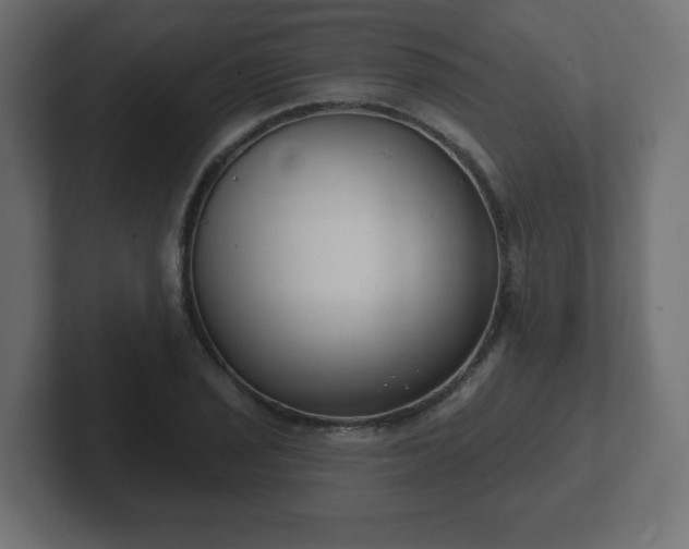 X0000103171029200808291506