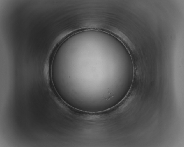 X0000103171030200808291506