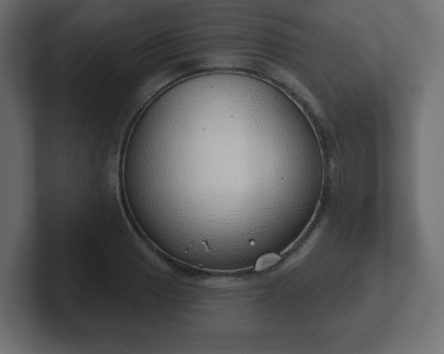 X0000103171033200808291506