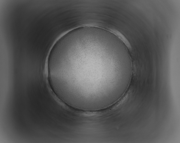 X0000103171036200808291506