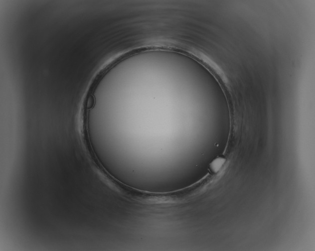 X0000103171037200808291506