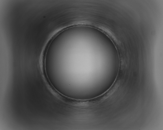 X0000103171038200808291506