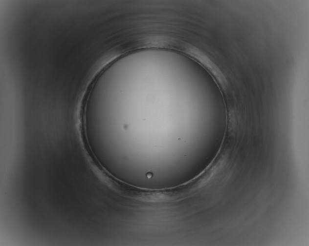 X0000103171042200808291506