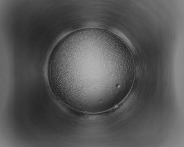 X0000103171043200808291506