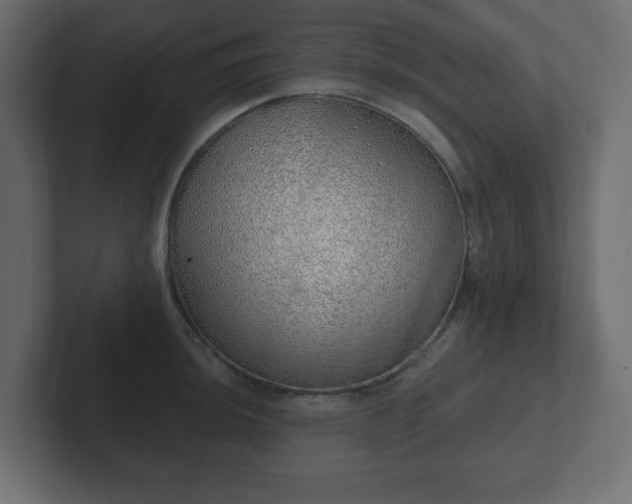 X0000103171044200808291506